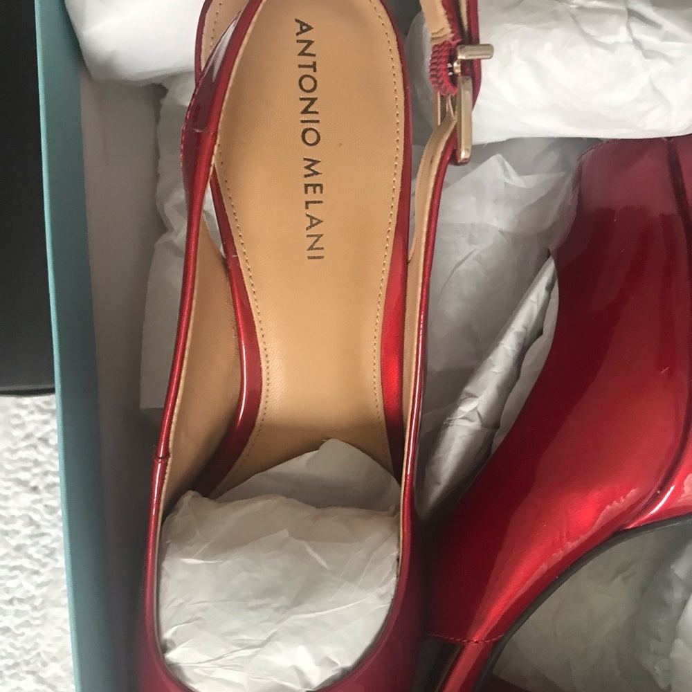Dashing reds